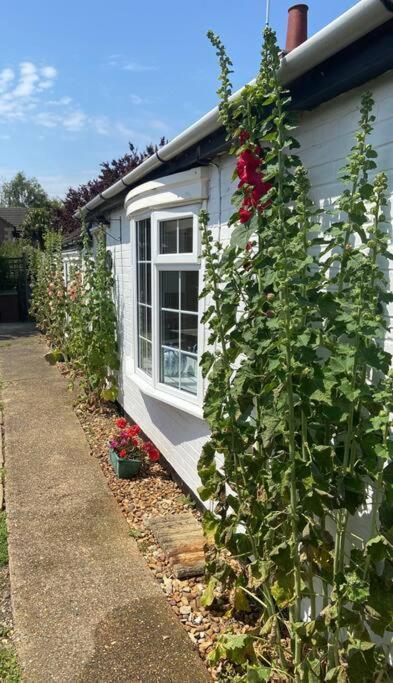 Field Cottage Whittlesey Luaran gambar